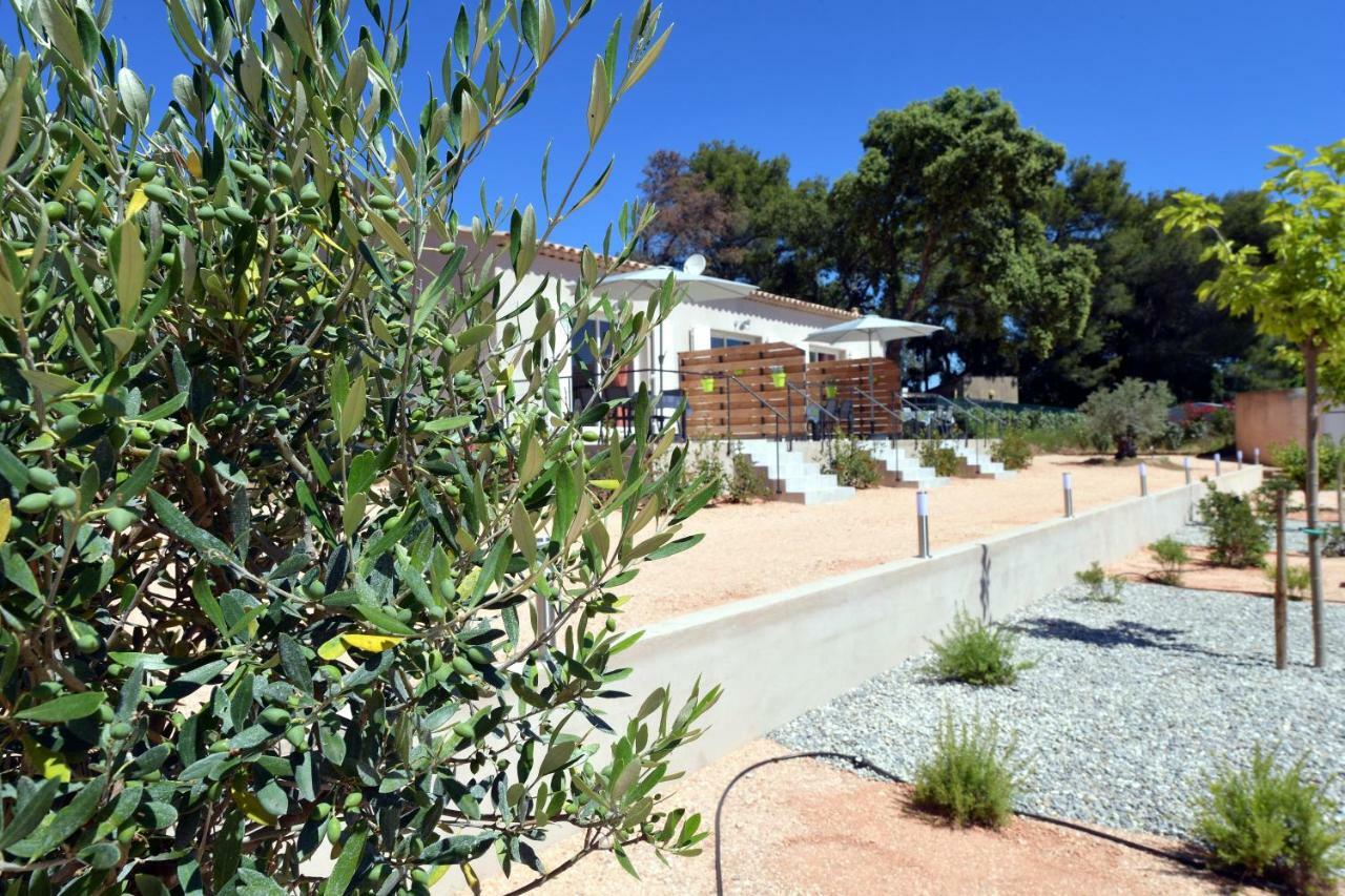 Sous Les Pins Gites Et Chambres D'Hotes La Londe-les-Maures Kültér fotó